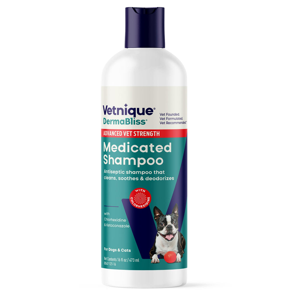 Medicated Cat & Dog Shampoo Z554