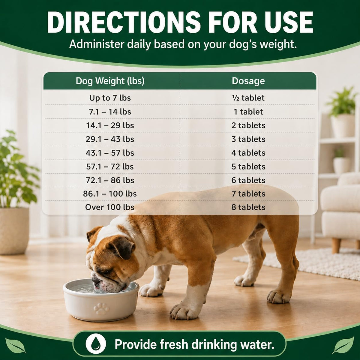Dewormer for Dogs E207167