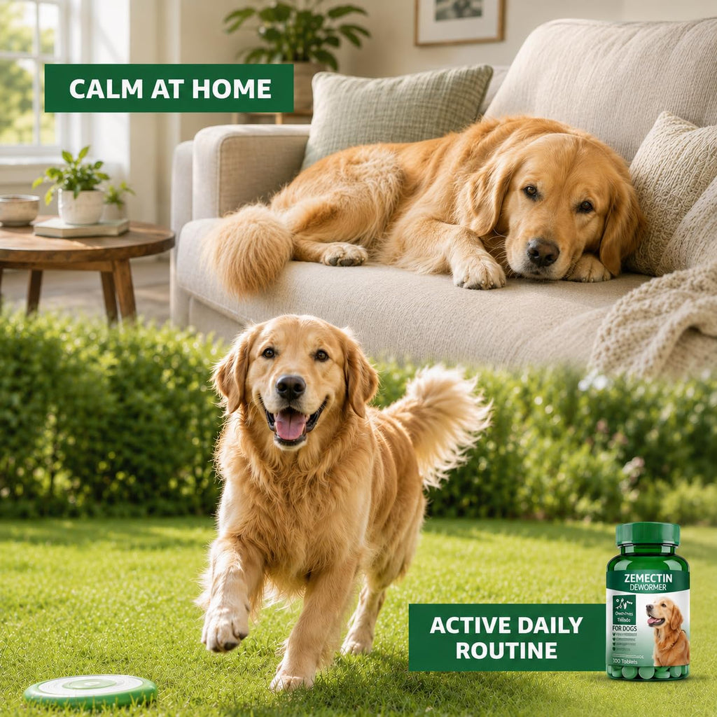 Dewormer for Dogs E207167