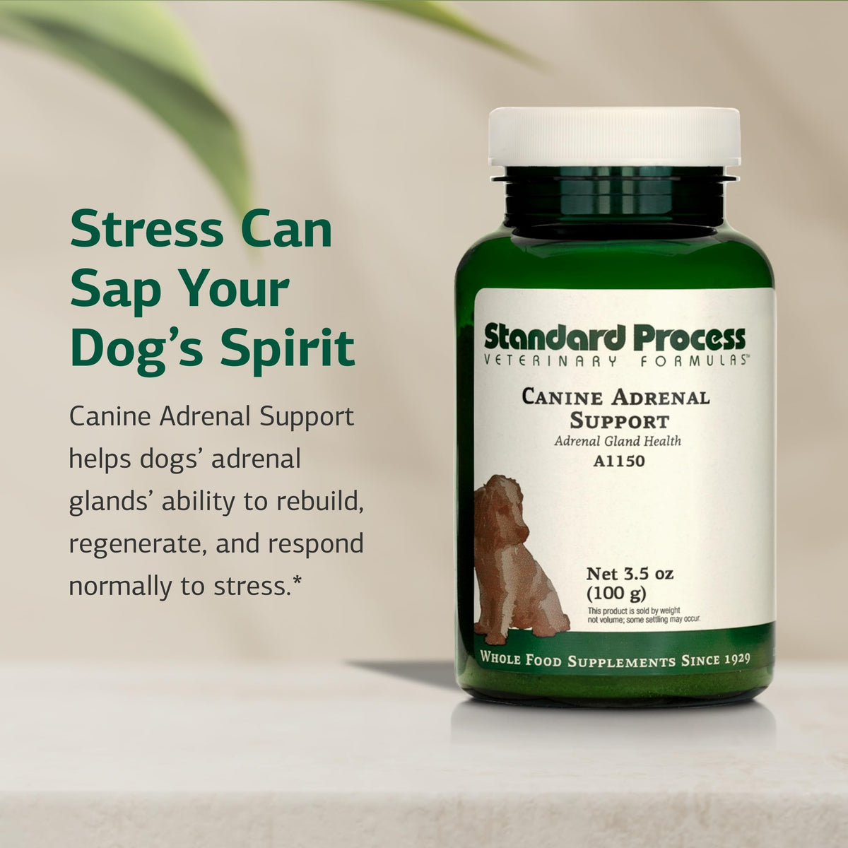 Canine Adrenal Support 100 g A421