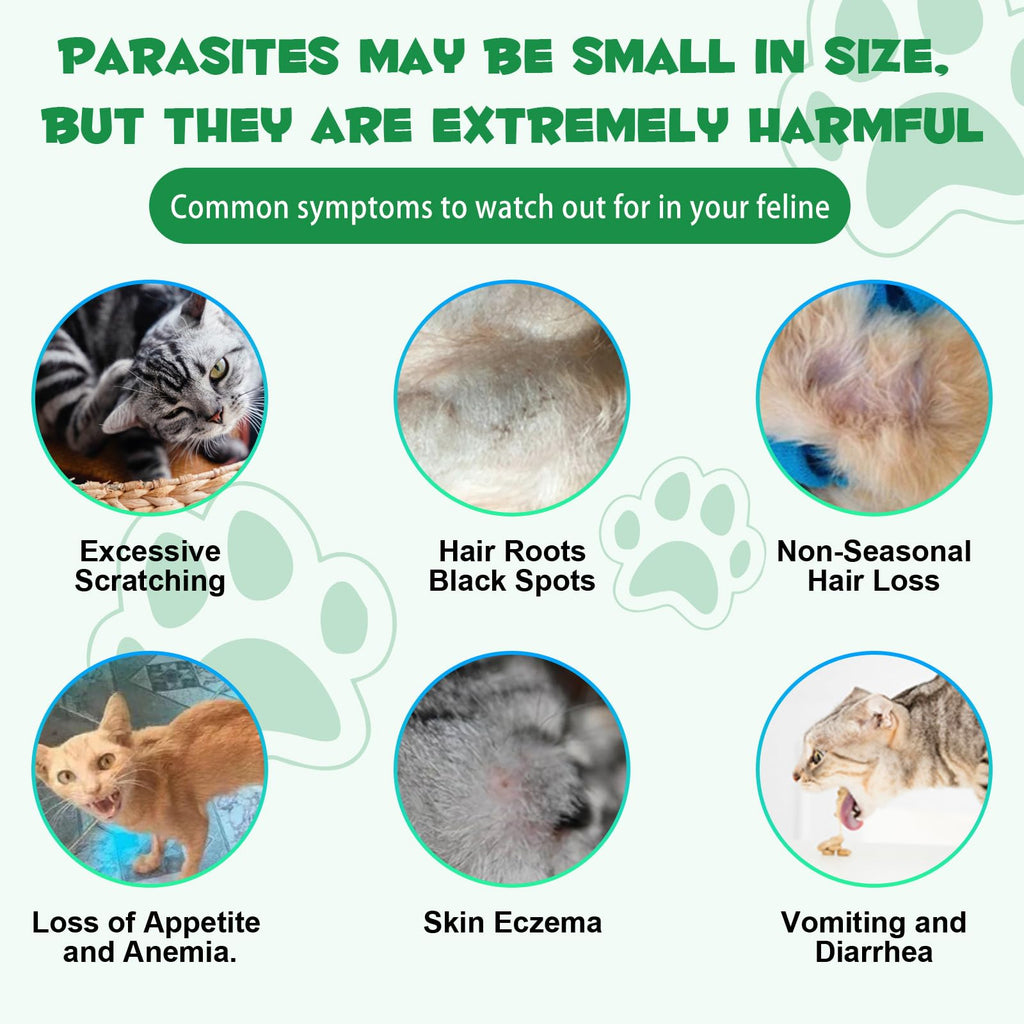 Probiotic Digestive Support for Cats S805675