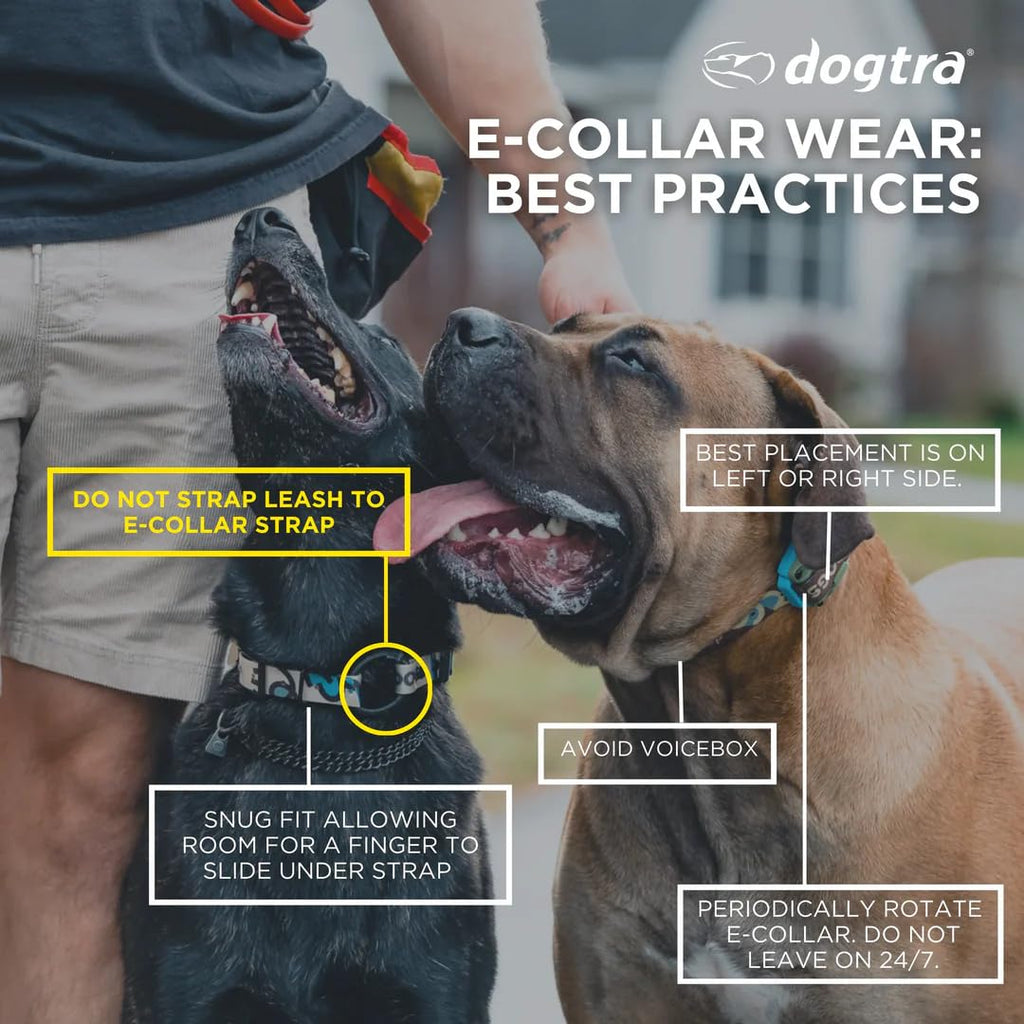 Waterproof Dog Training Collar with Remote M822