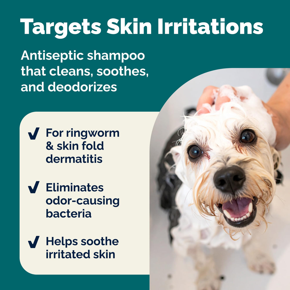 Medicated Cat & Dog Shampoo Z554