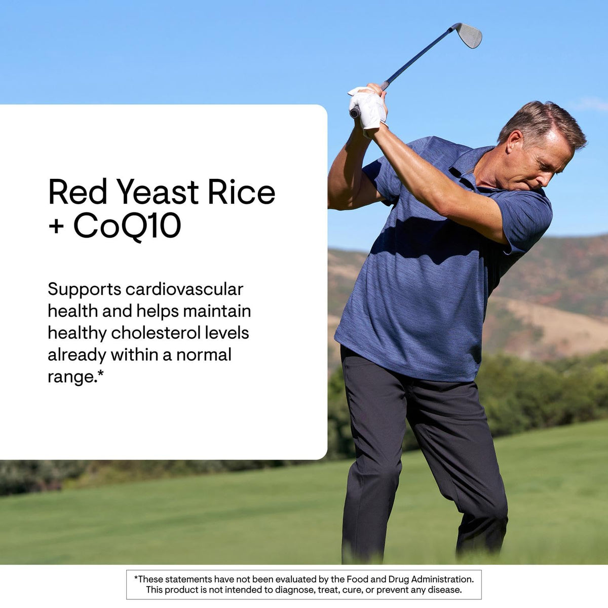 Red Yeast Rice + CoQ10 120 Capsules T550139