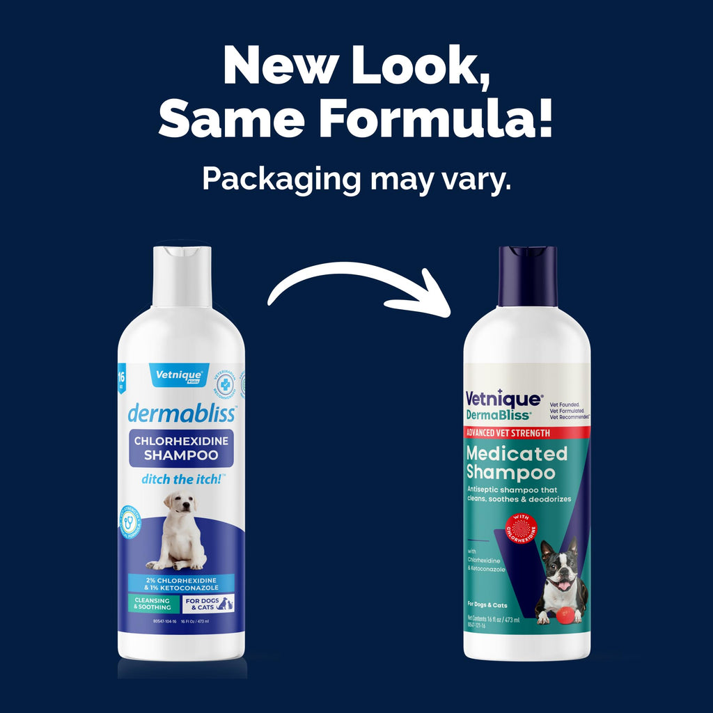 Medicated Cat & Dog Shampoo Z554
