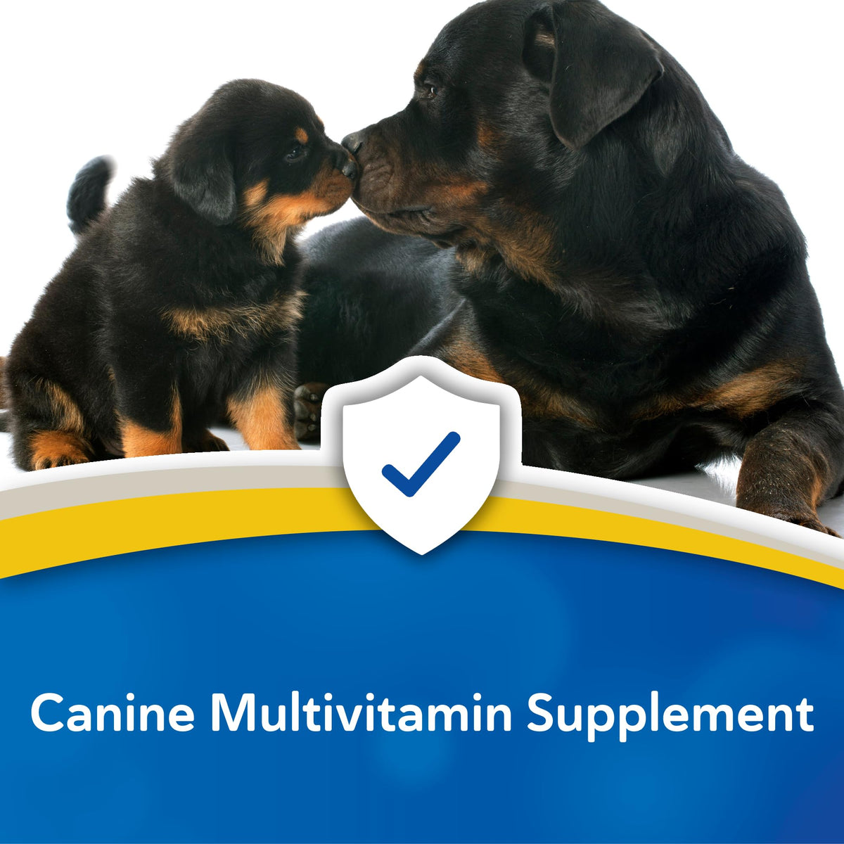 Canine Multivitamin Tablets for Dogs, 180ct C704695