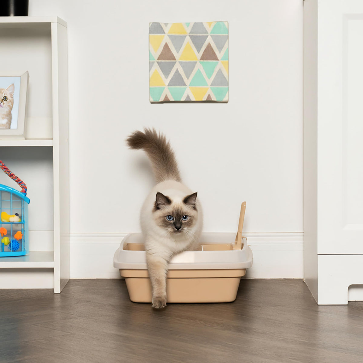 Large Cat Litter Box J36863