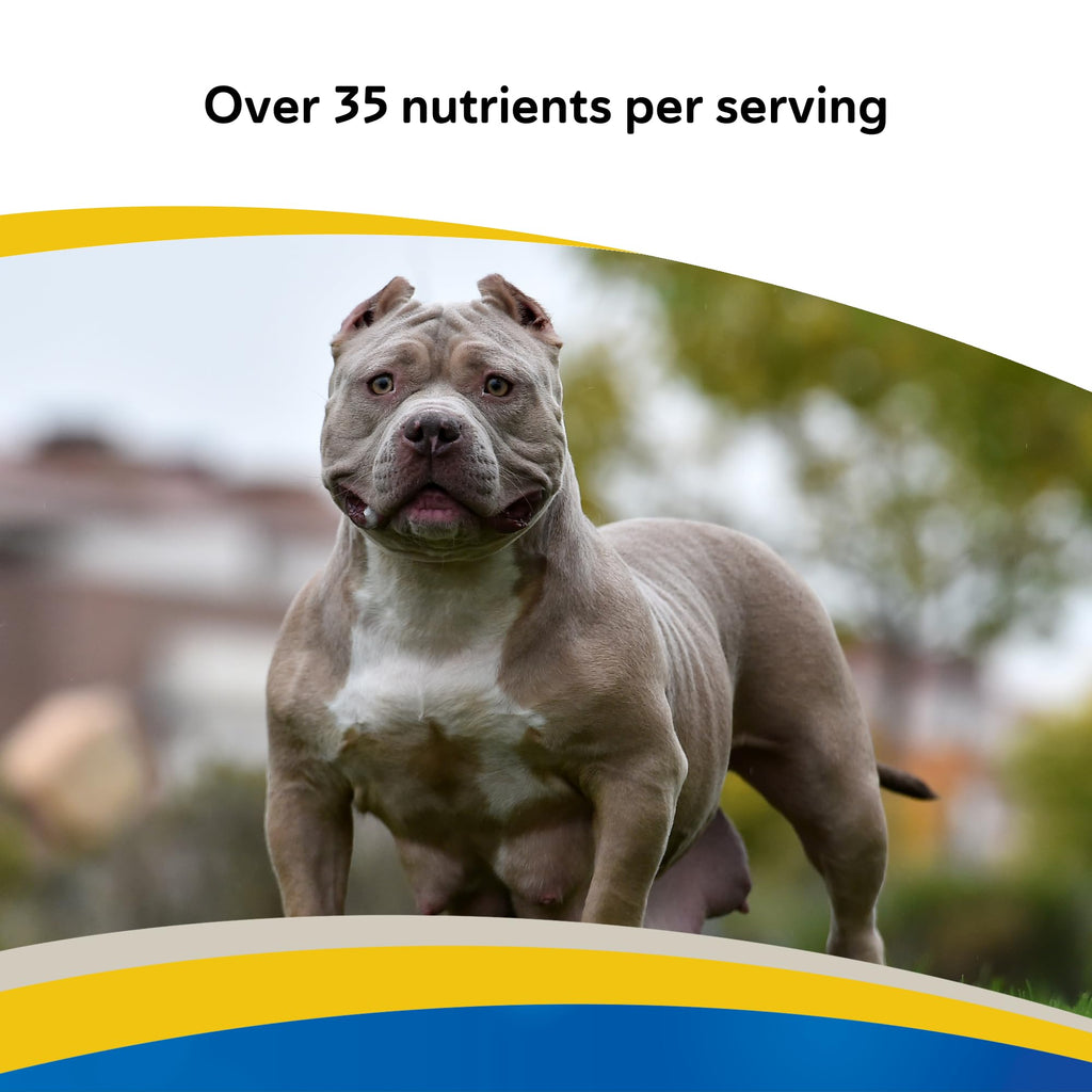 Canine Multivitamin Tablets for Dogs, 180ct C704695