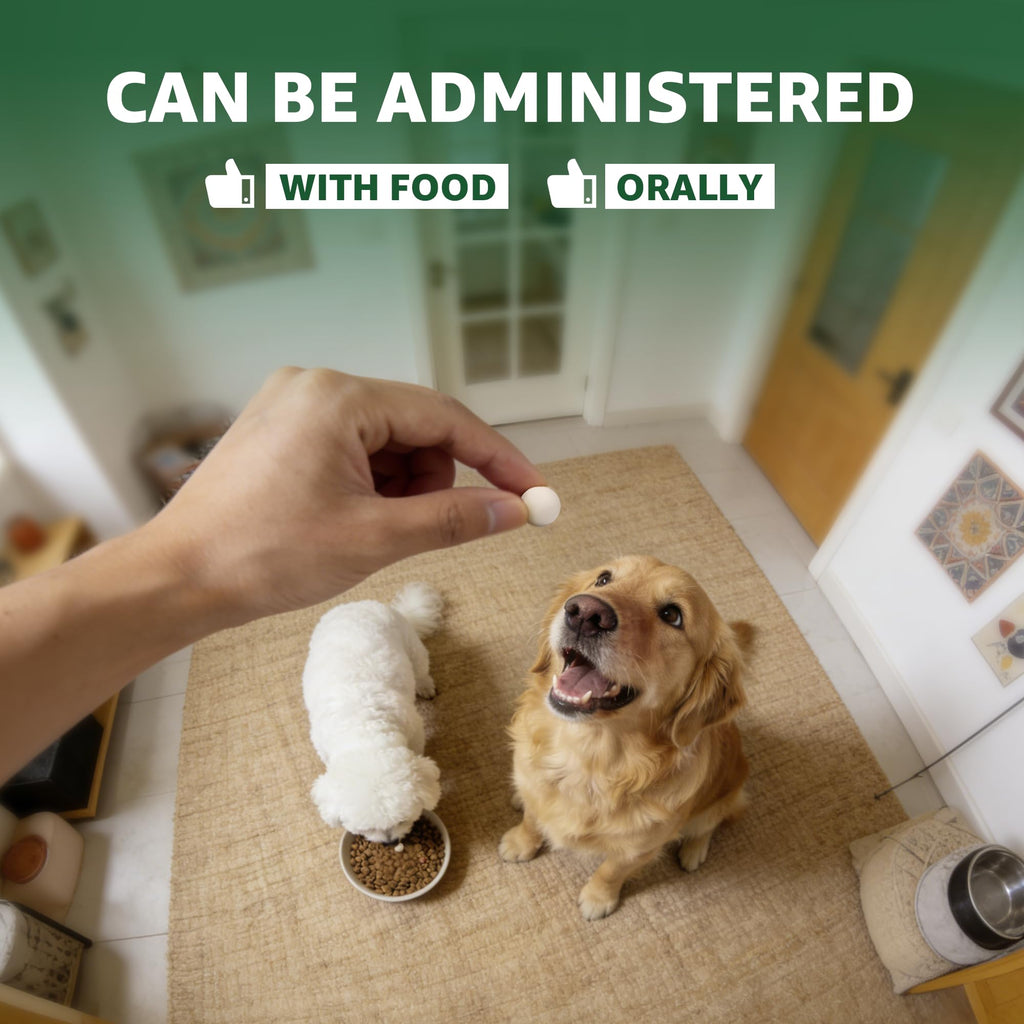 Dewormer for Dogs E207167