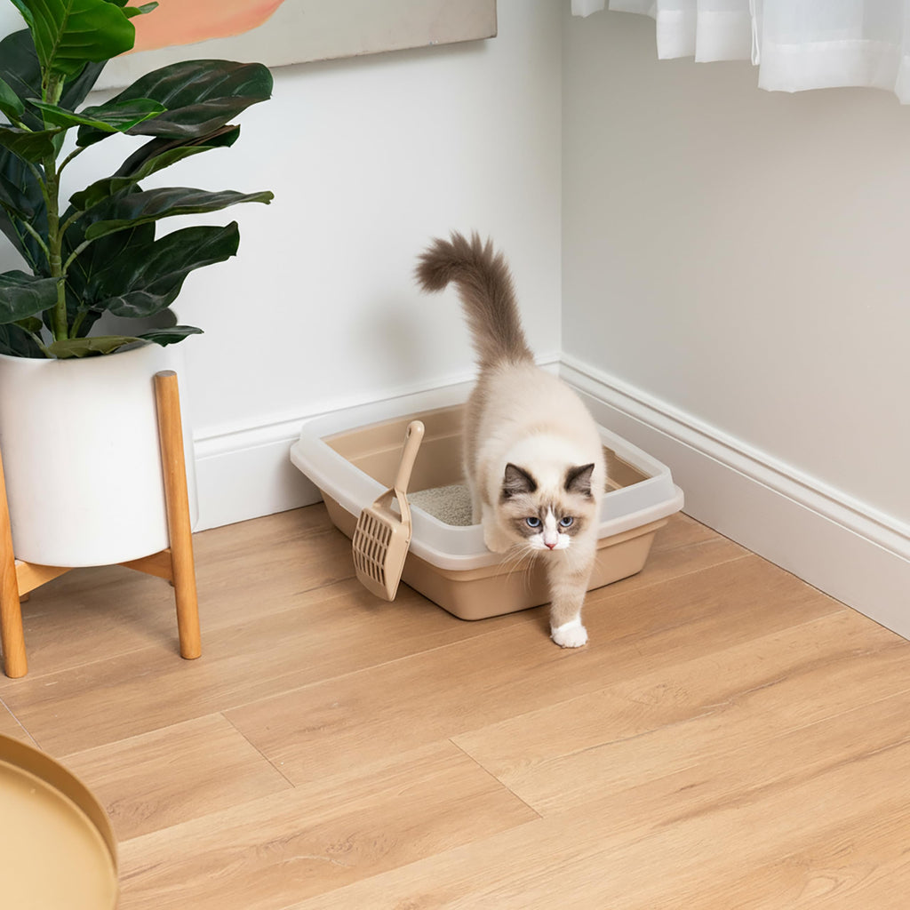 Large Cat Litter Box J36863