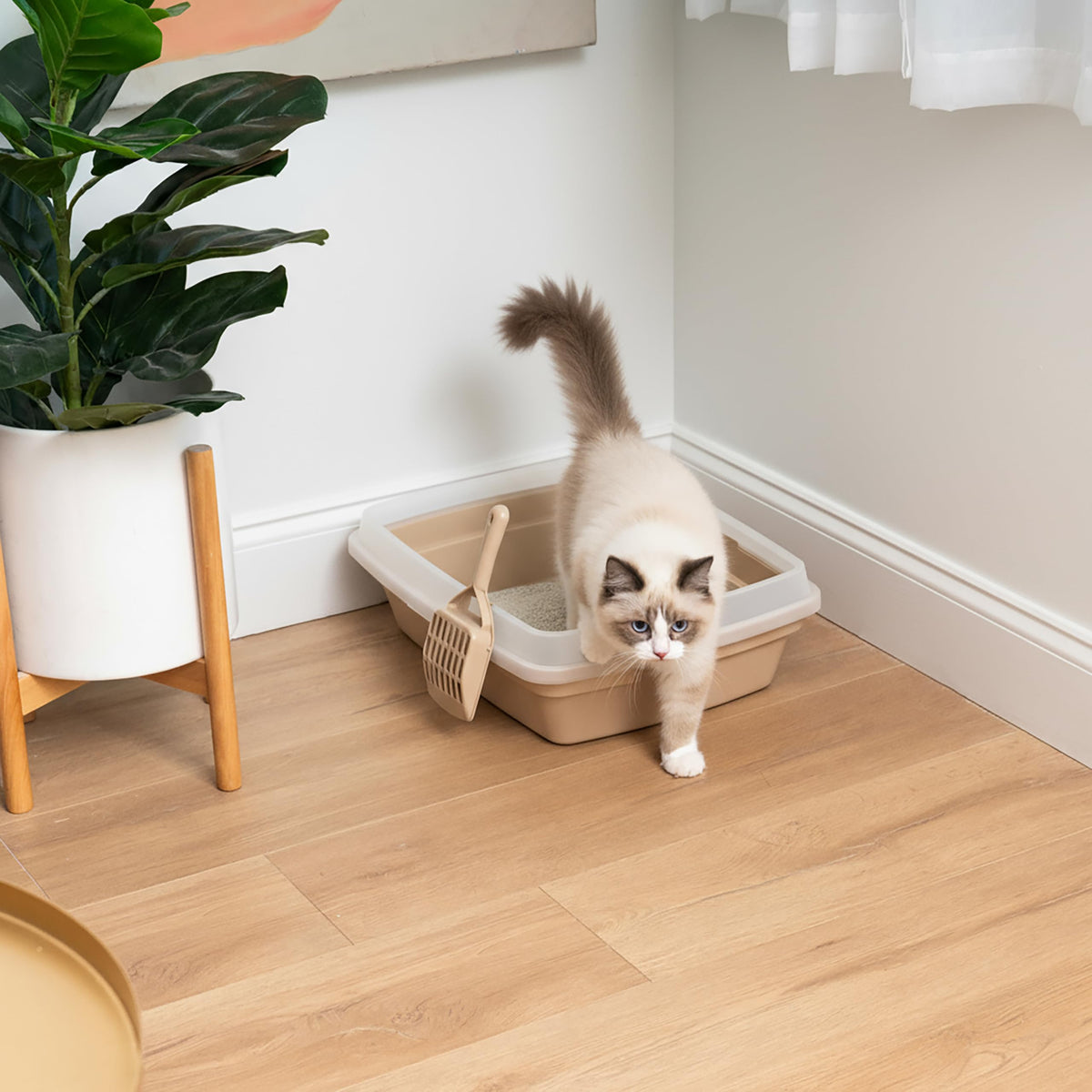 Large Cat Litter Box J36863