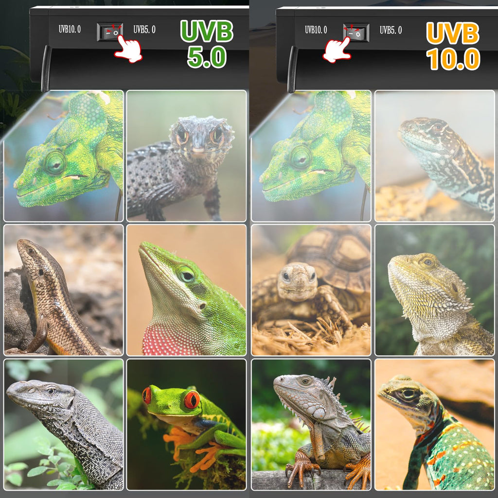 24W T5 UVB Reptile Light Combo Kit E267