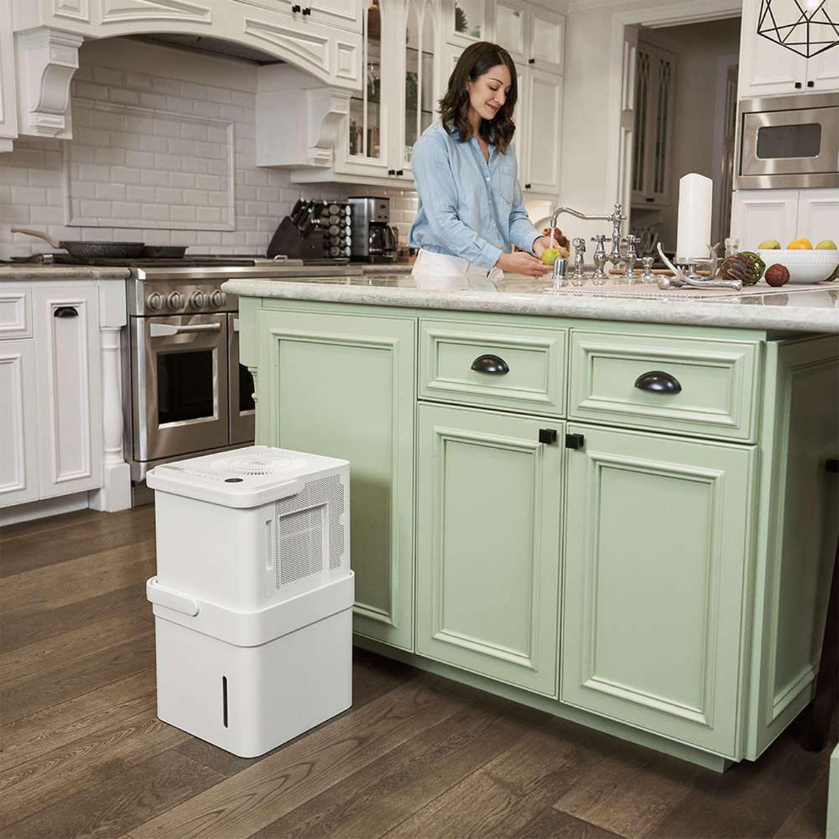 50 Pint Dehumidifier with Smart Control Q11805