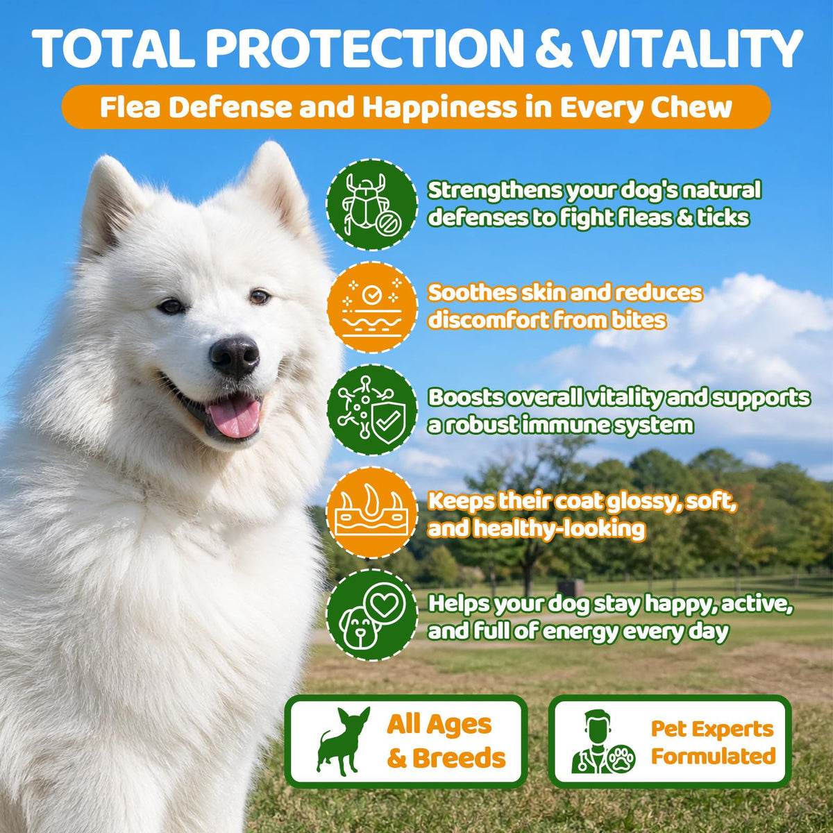 Flea and Tick Prevention for Dogs Chewables with Multivitamins, 500ct S39995