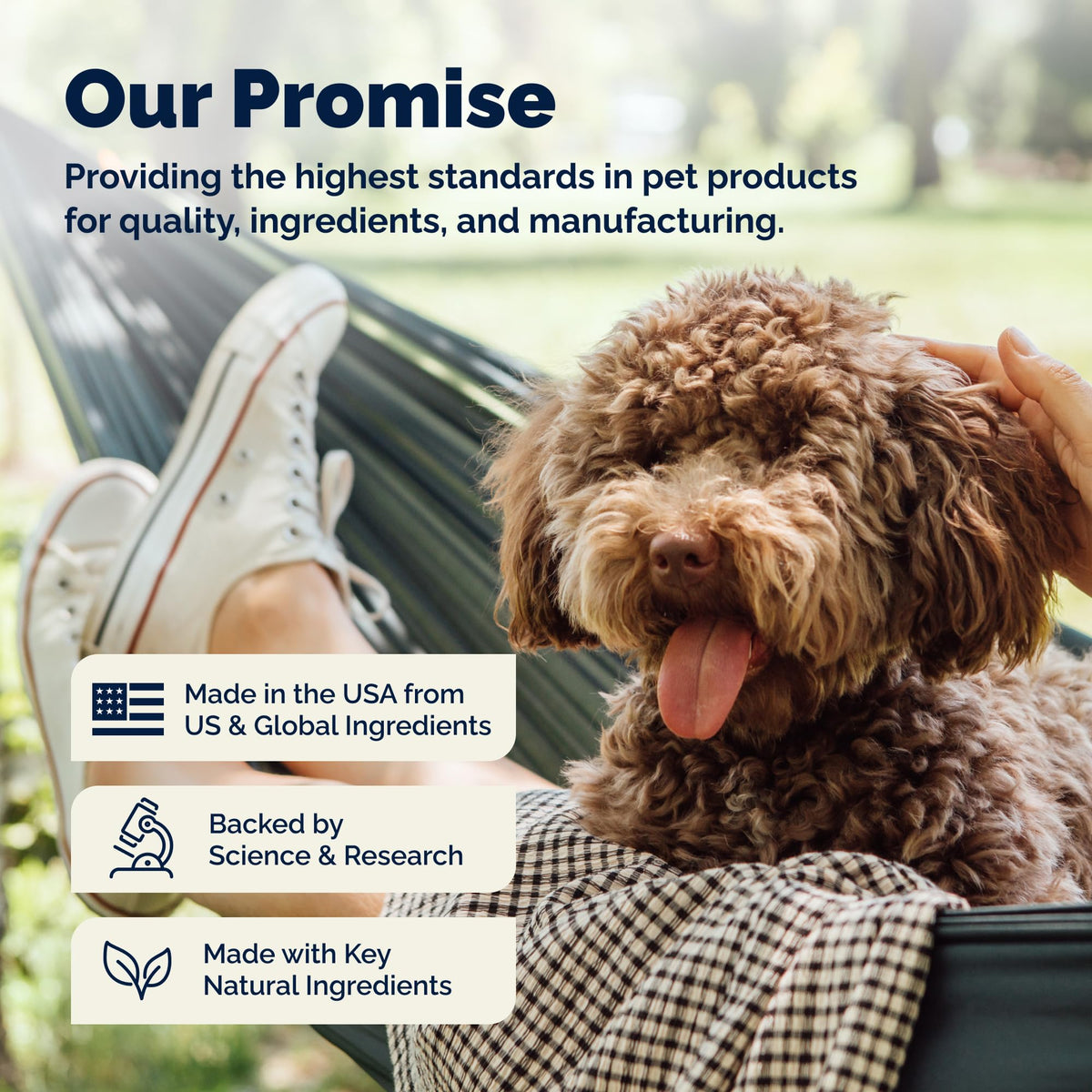 Medicated Cat & Dog Shampoo Z554