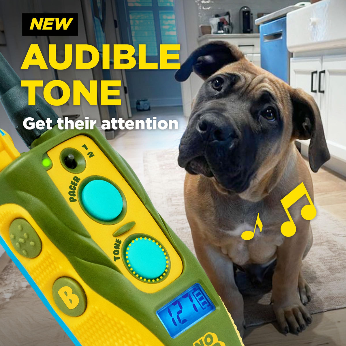 Waterproof Dog Training Collar with Remote M822