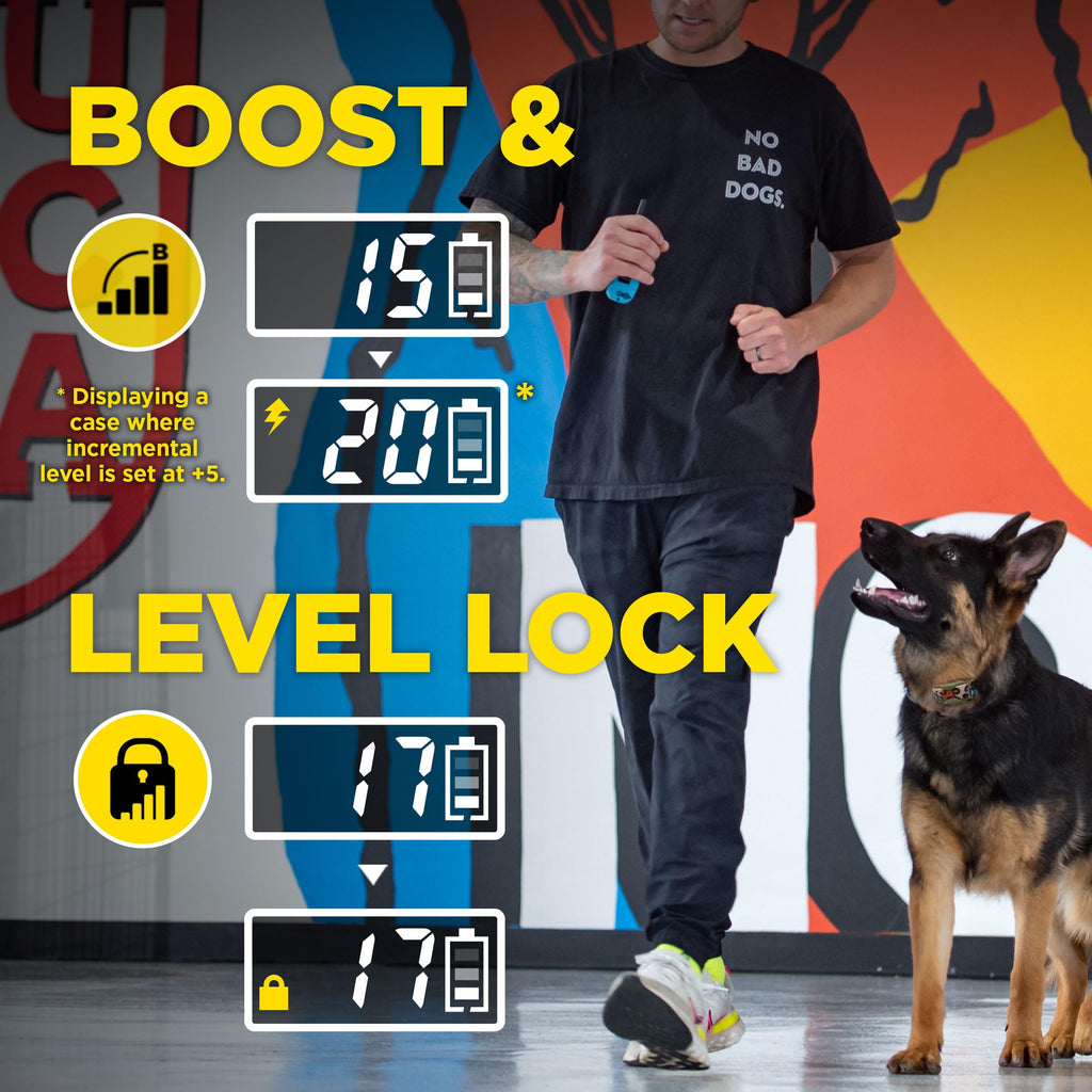 Waterproof Dog Training Collar with Remote M822