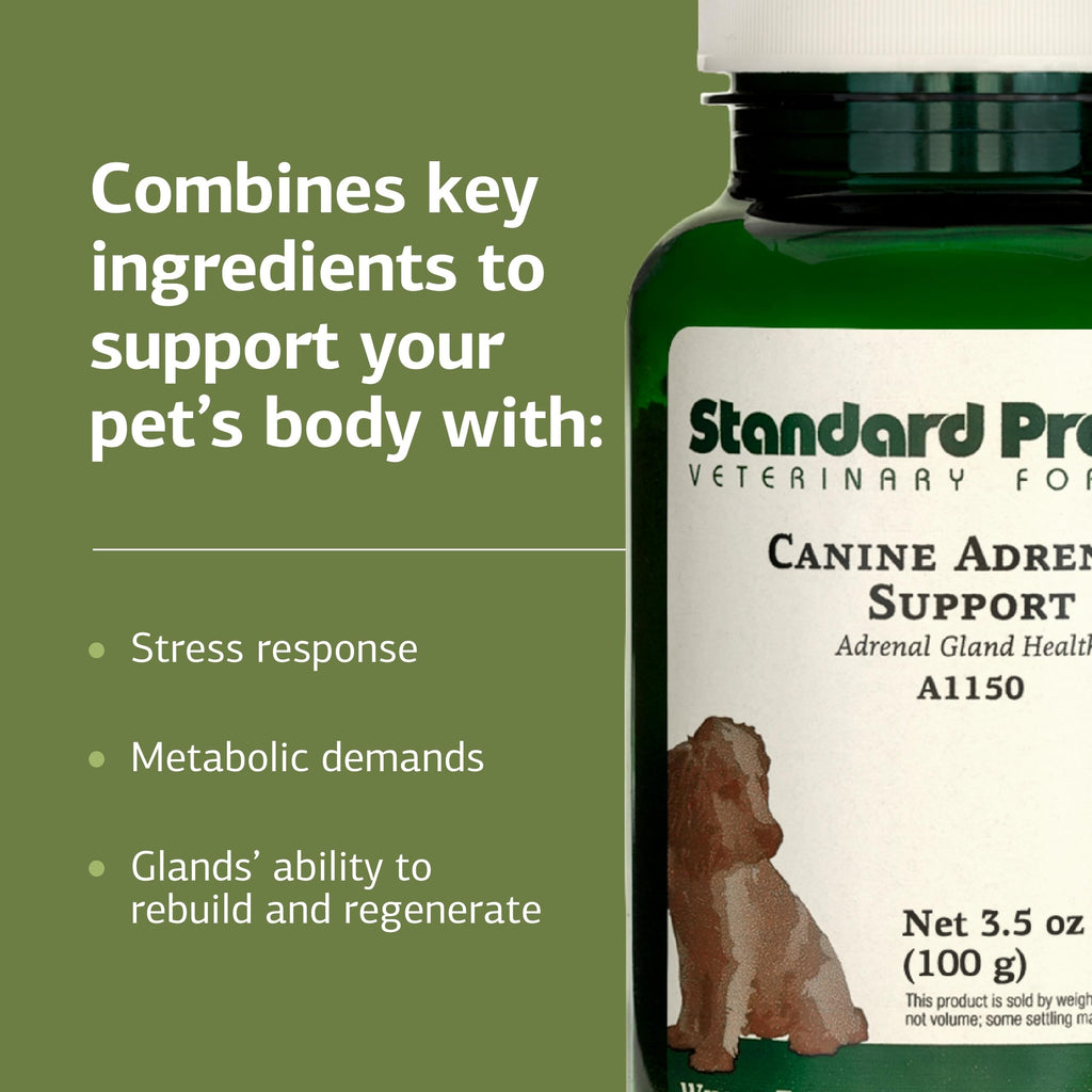 Canine Adrenal Support 100 g A421