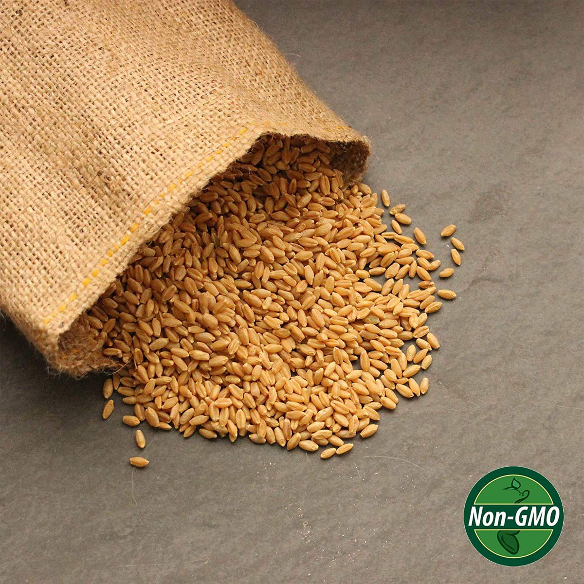 Organic Whole Wheat Kernels 2.5 Lb Non-GMO Hard White Y112831