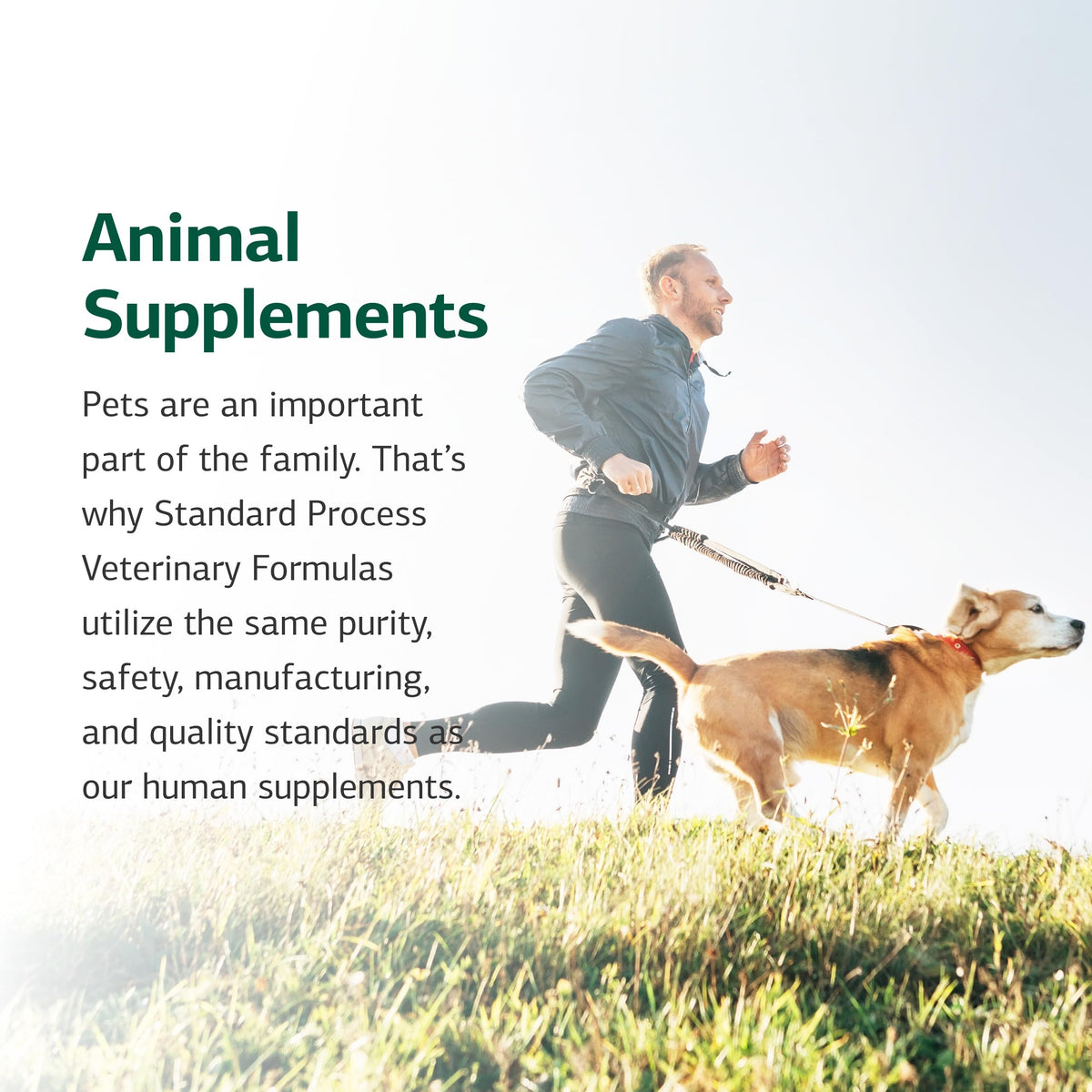 Canine Adrenal Support 100 g A421