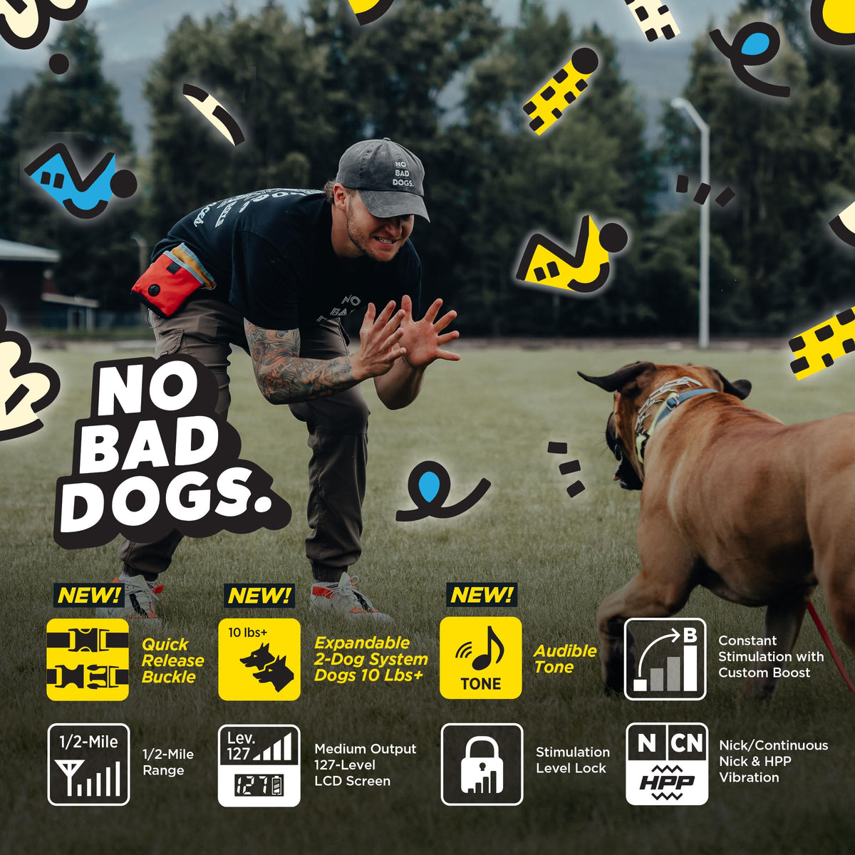 Waterproof Dog Training Collar with Remote M822