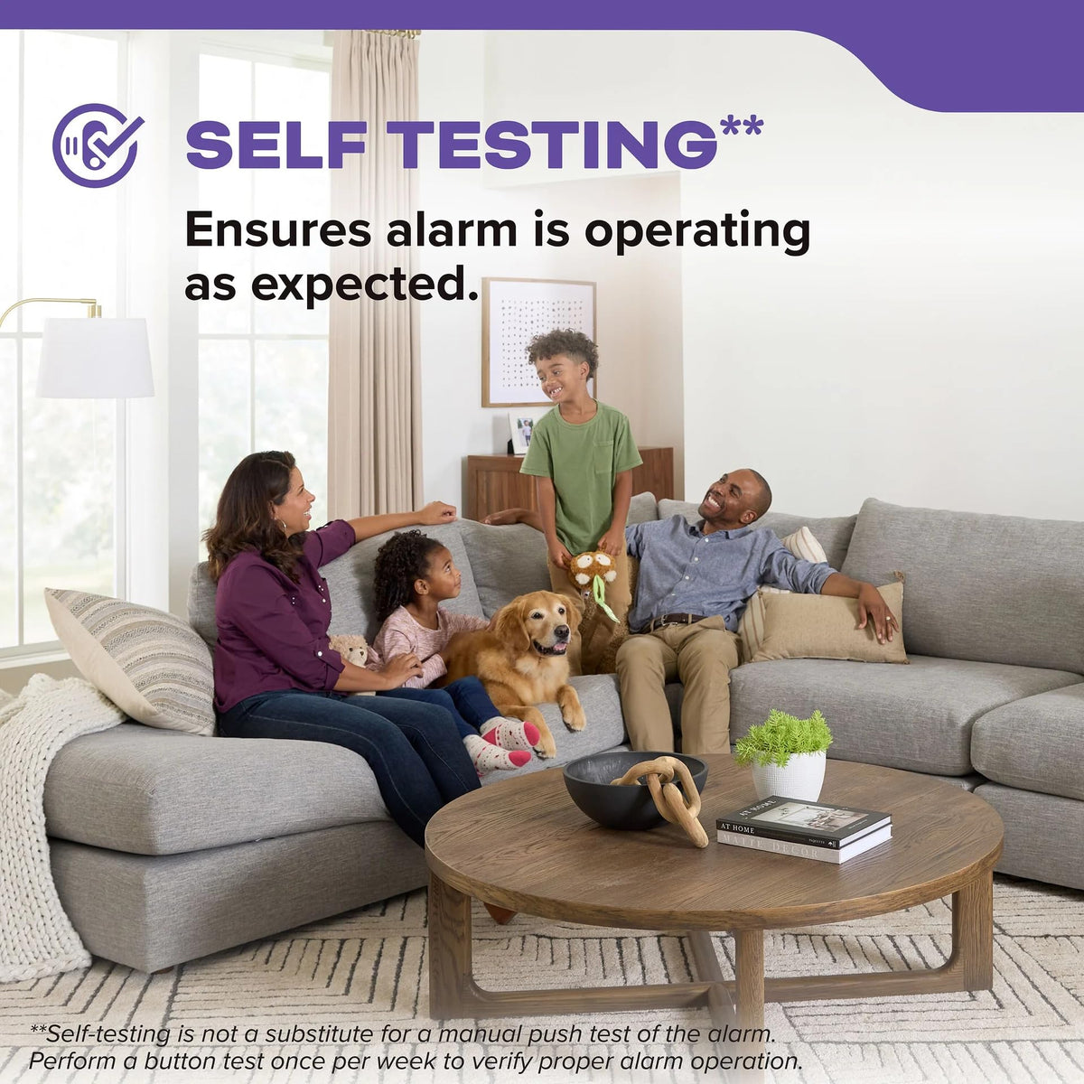Smoke & Carbon Monoxide Alarm, Battery Powered Combo Detector G699858